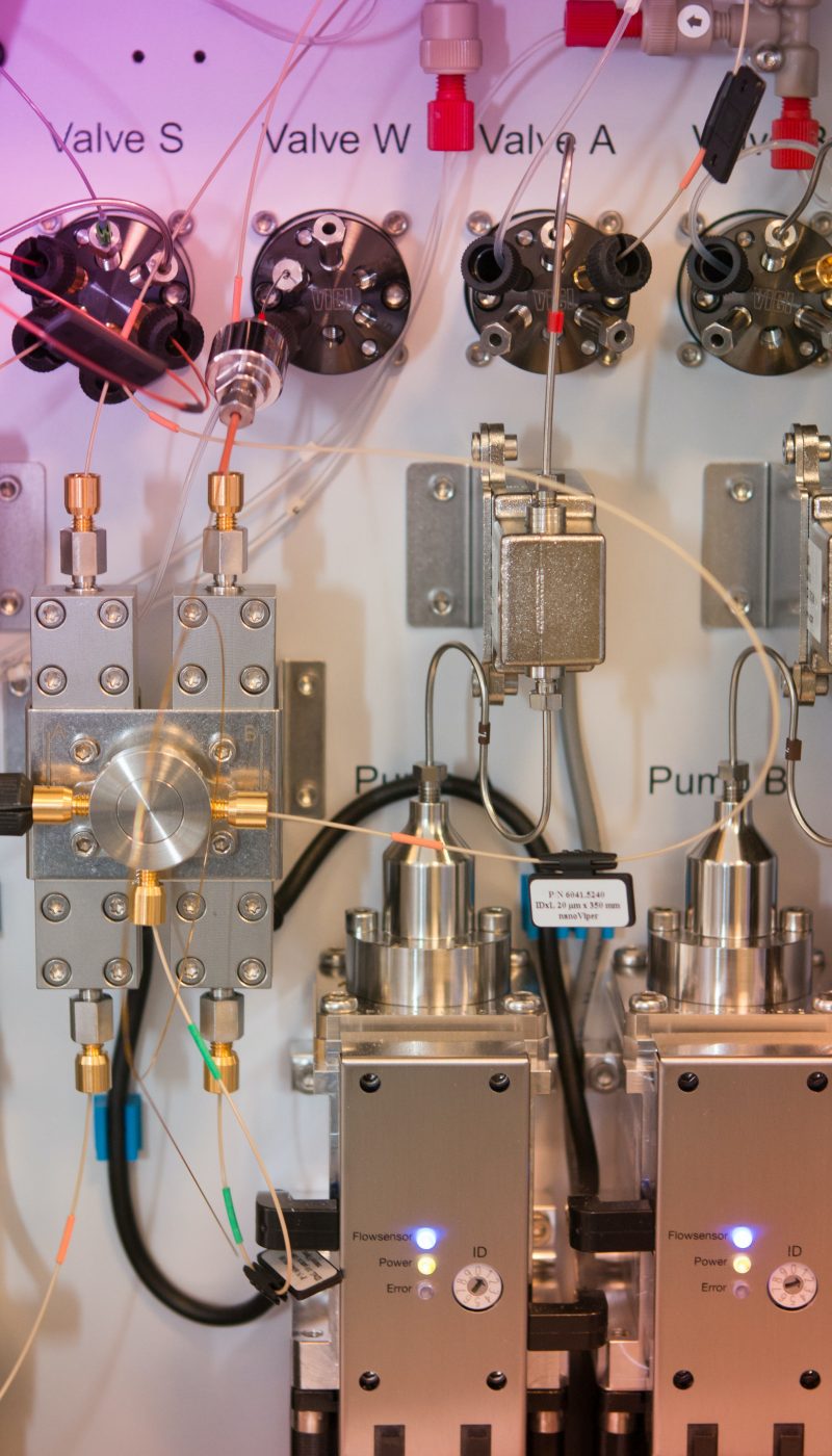 bas-van-breukelen-FJfHlfT2ymk-unsplash